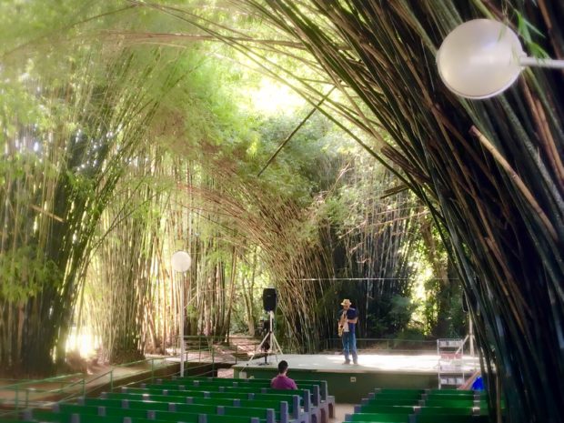 Apresentação de saxofone na Catedral de Bambu