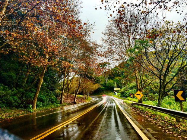 Pelos caminhos da Rota Romântica