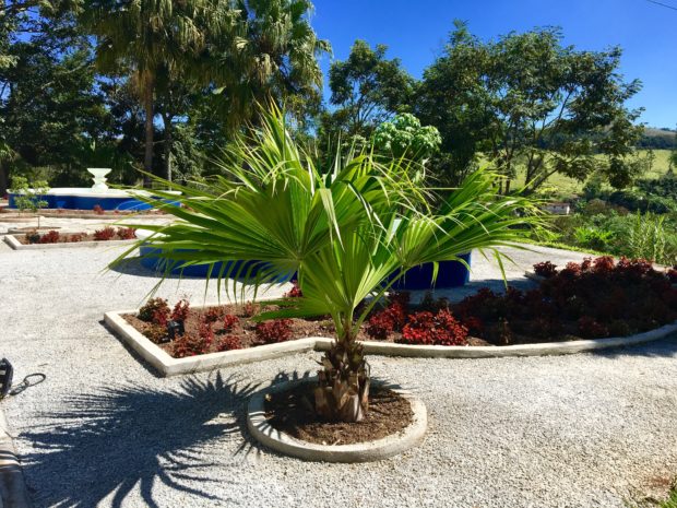 Jardim - Estação Ponto de Partida