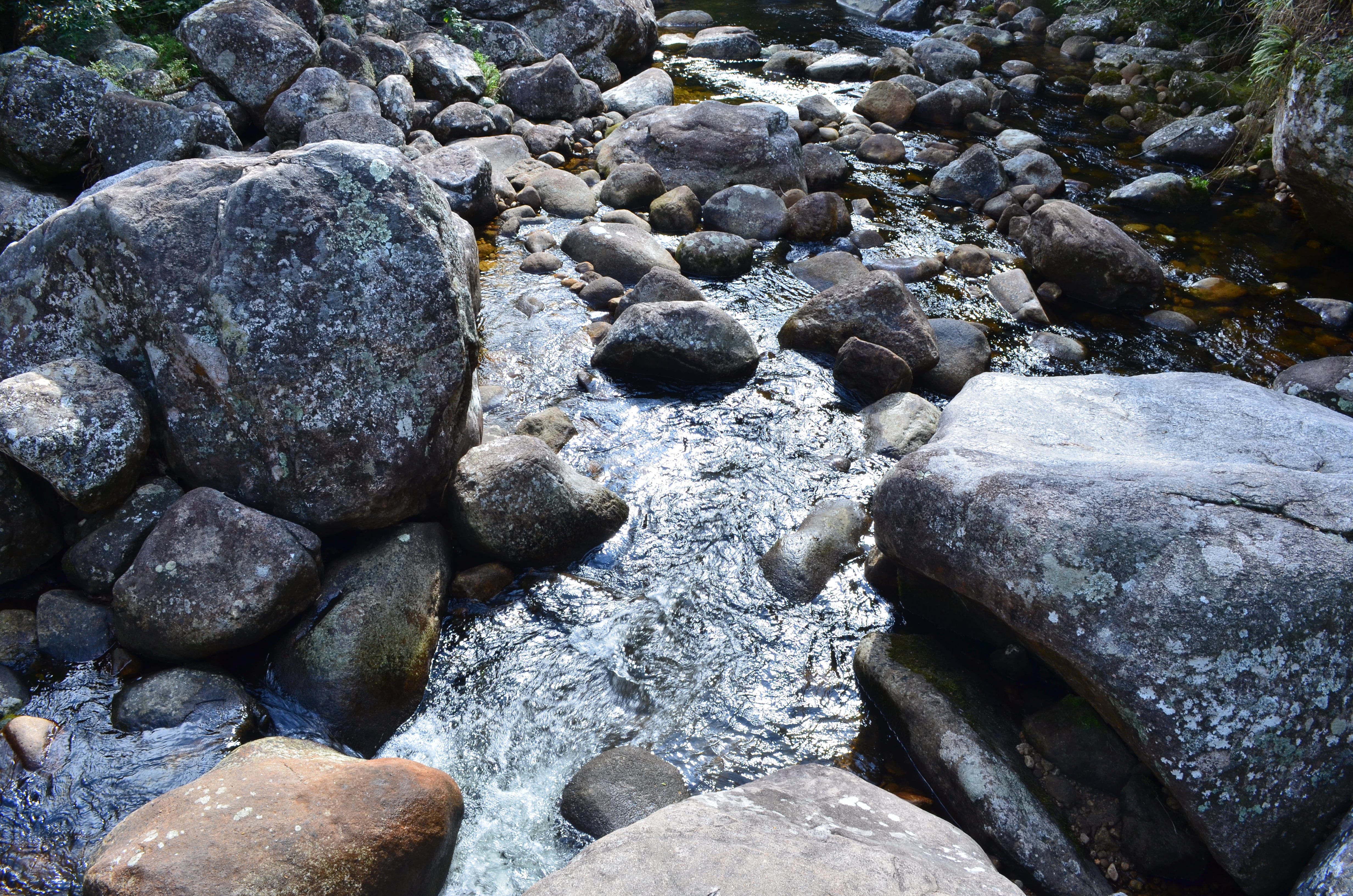 Parque Nacional Serra dos Órgãos