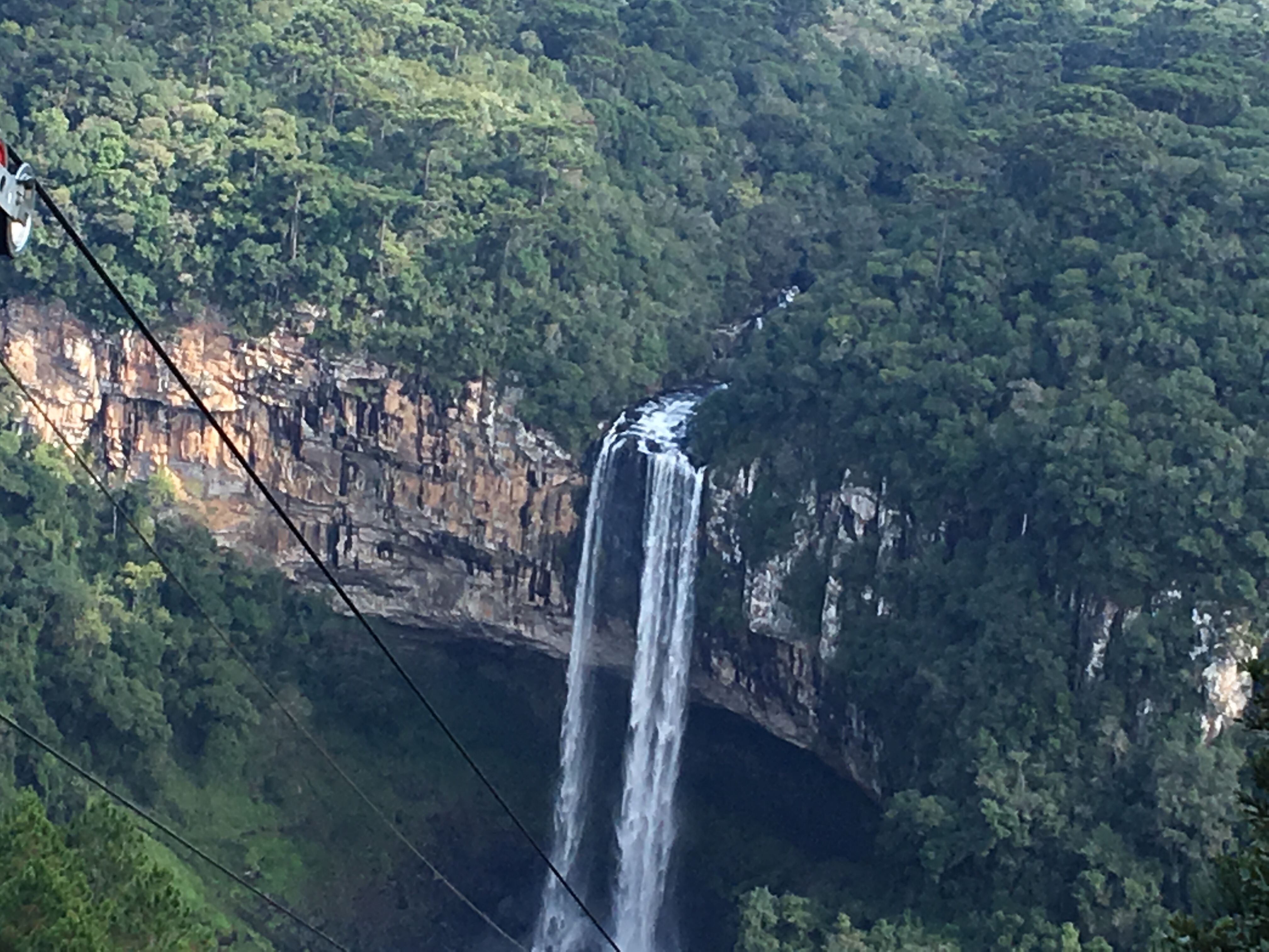 Canela no Rio grande do Sul