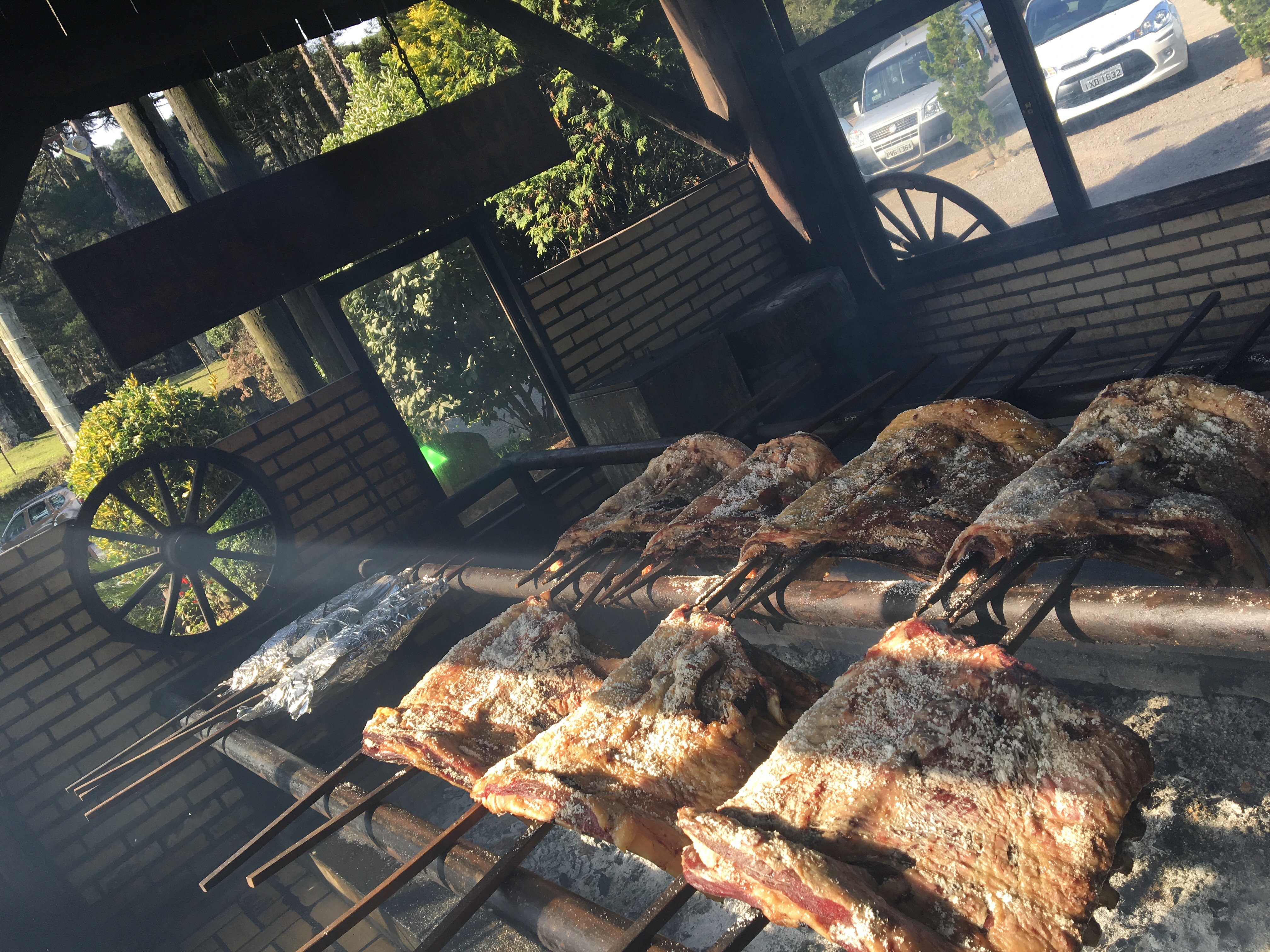 Canela no Rio grande do Sul