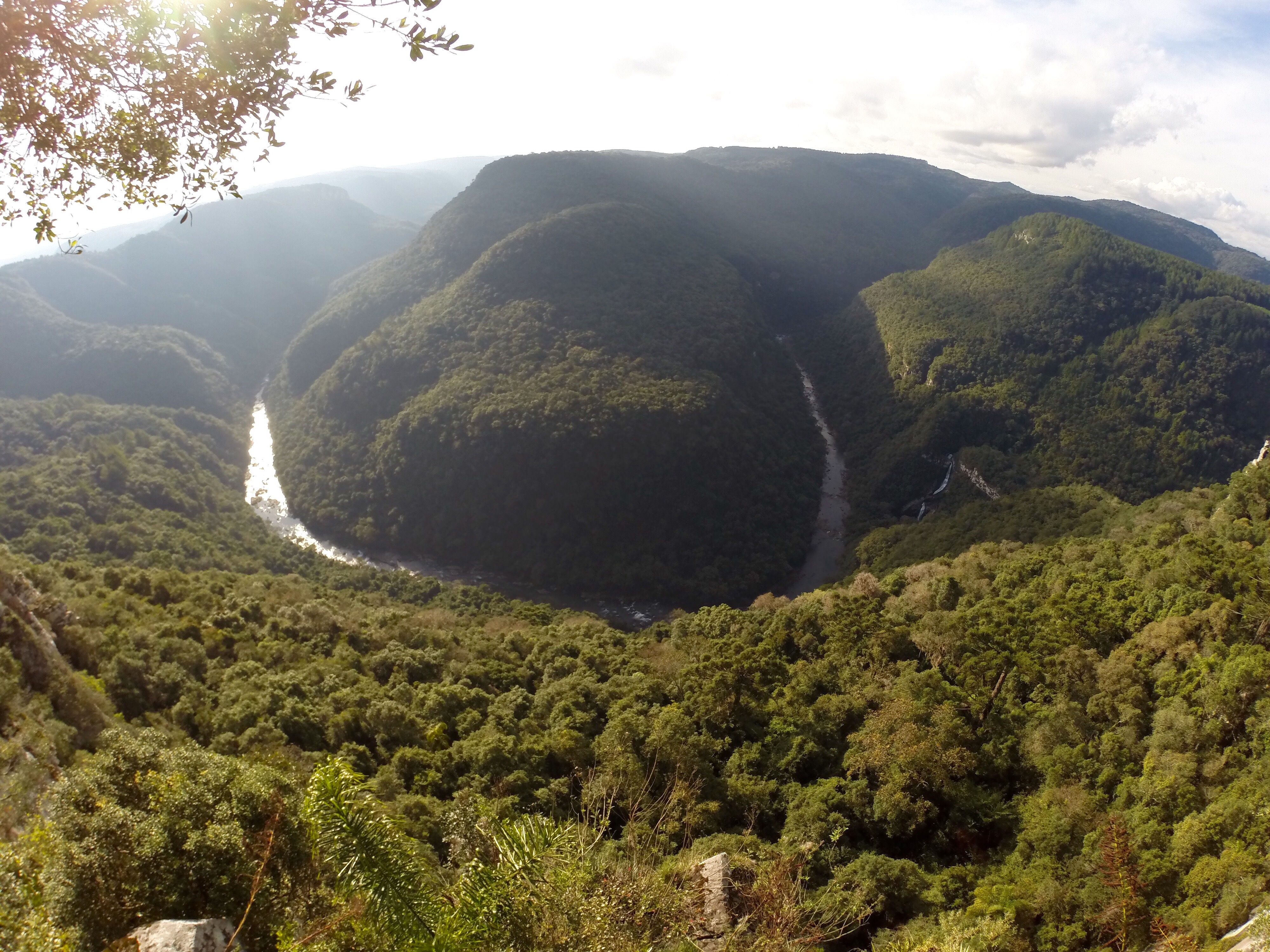 Canela no Rio grande do Sul