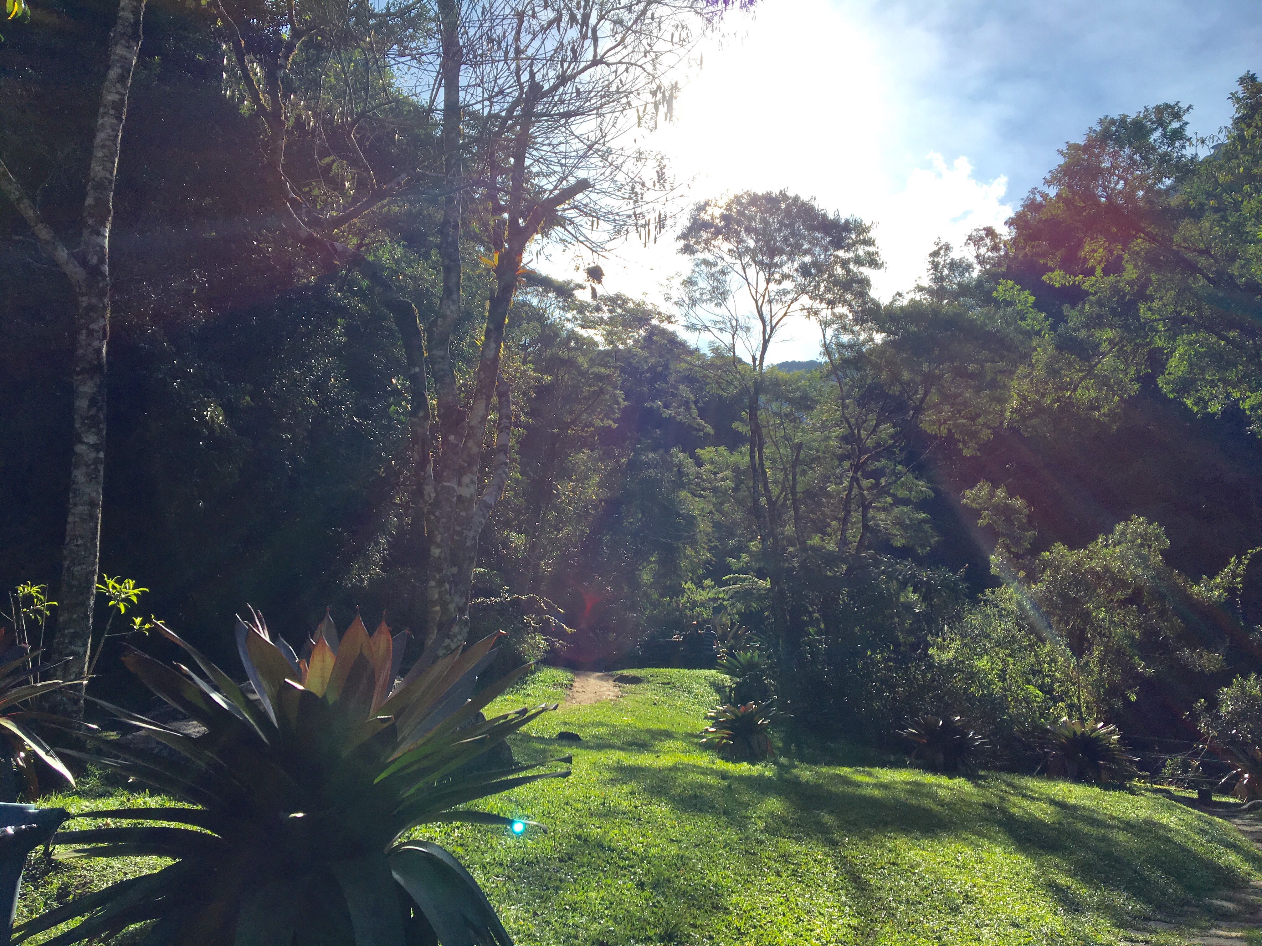 Parque Nacional Serra dos Órgãos -PARNASO- Sede Teresópolis Parque Nacional Serra dos Órgãos -PARNASO- Sede Teresópolis