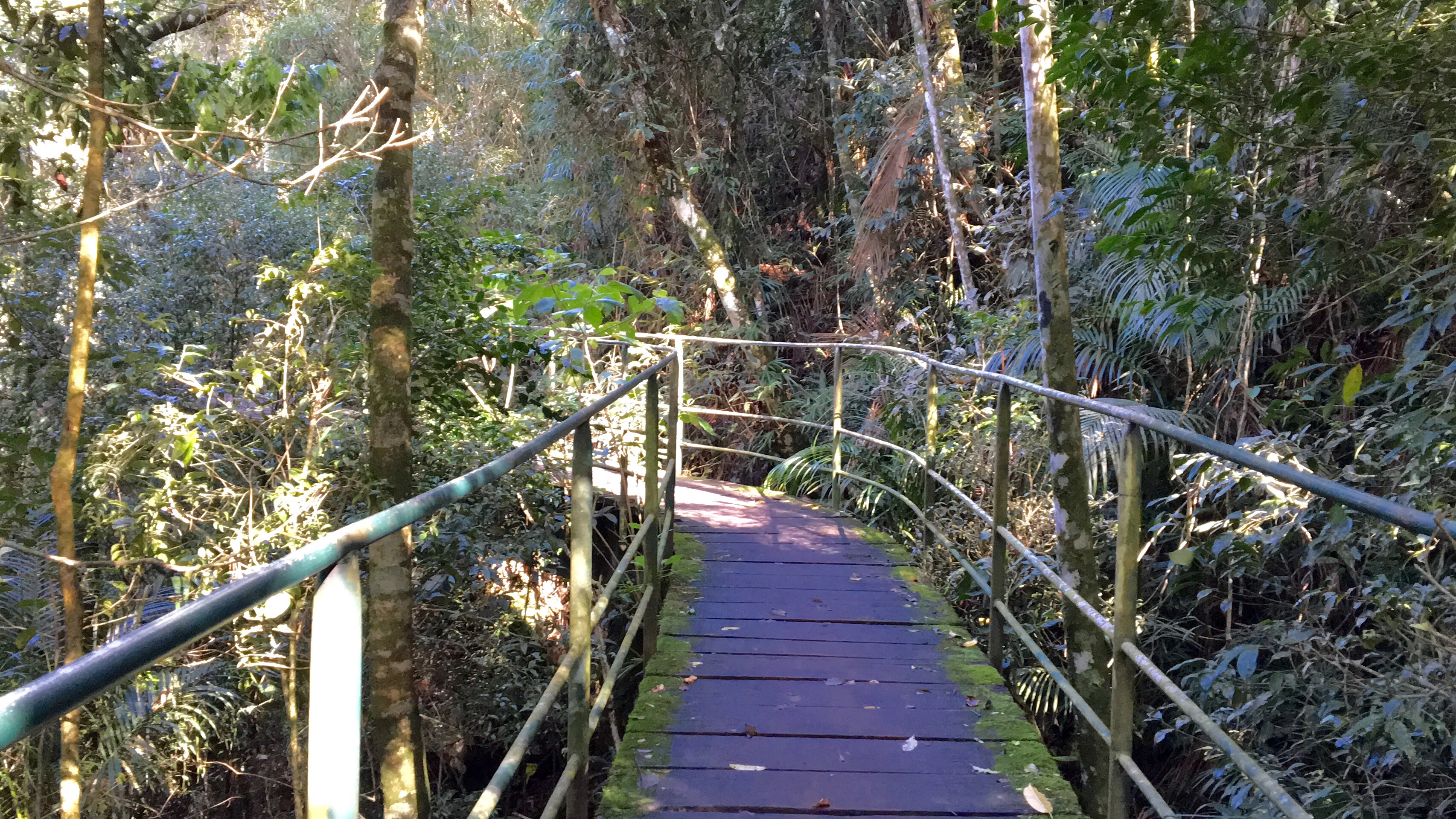 Parque Nacional Serra dos Órgãos -PARNASO- Sede Teresópolis Parque Nacional Serra dos Órgãos -PARNASO- Sede Teresópolis