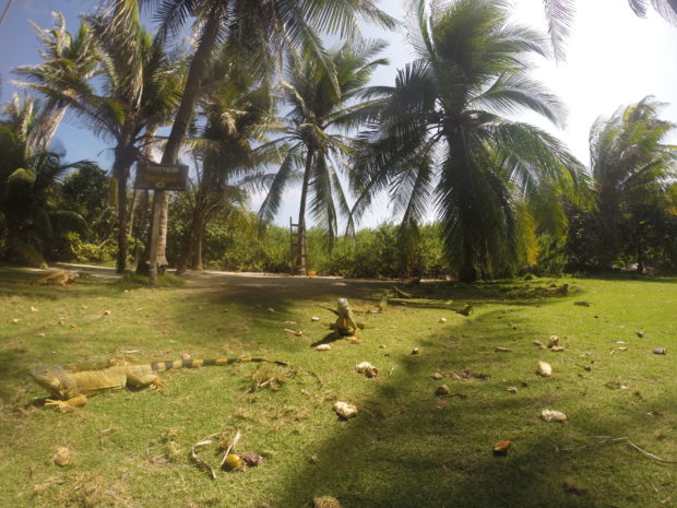 Johnny Cay em San Andrés