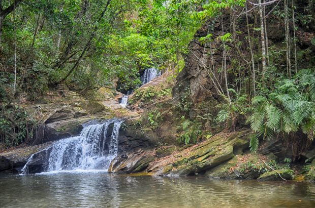 Cachoeira Landi