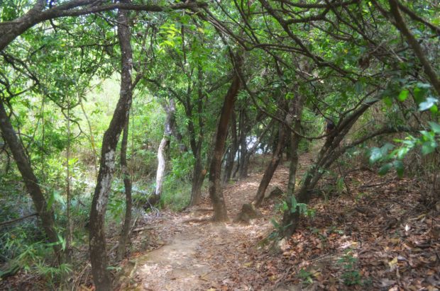 Trilha Longa da Chapada Imperial