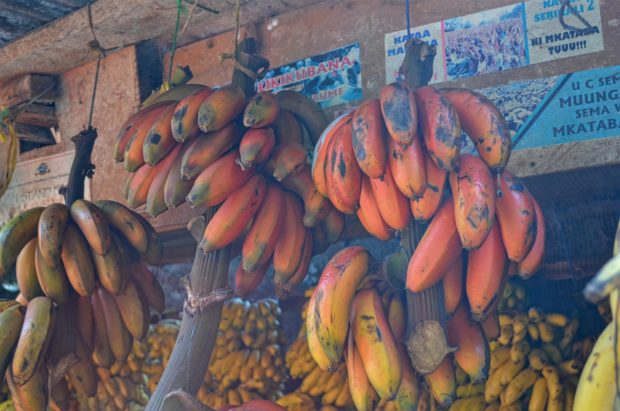 Mercado em Stone Town - Zanzibar