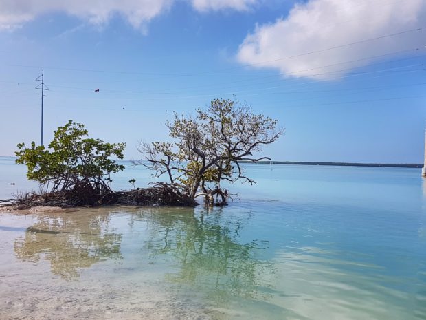 Praia do Indian Key Historic State Park