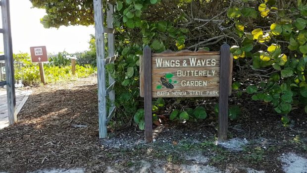 Wings e Waves Butterfly Garden