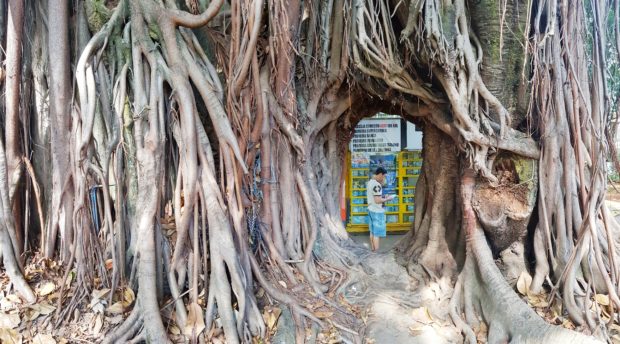 Três pedidos se realizarão