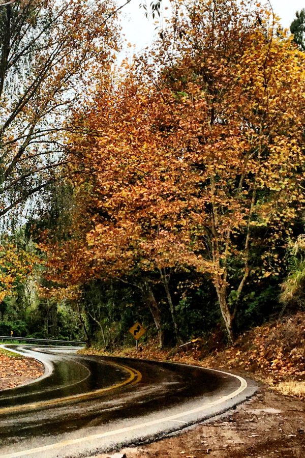 Rota Romântica Brasileira