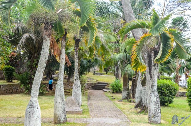 Jardim do La Domus em Mahe - Seychelles Jardim do La Domus em Mahe - Seychelles