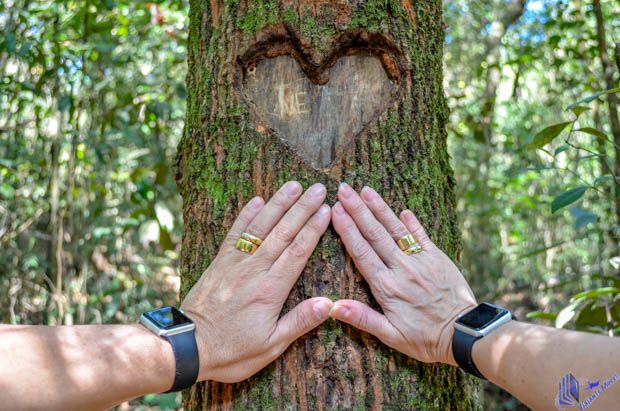 Parque das Mangabeiras - Belo Horizonte Parque das Mangabeiras - Belo Horizonte