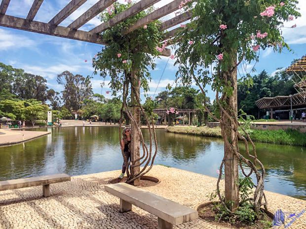 Parque das Mangabeiras - Belo Horizonte Parque das Mangabeiras - Belo Horizonte