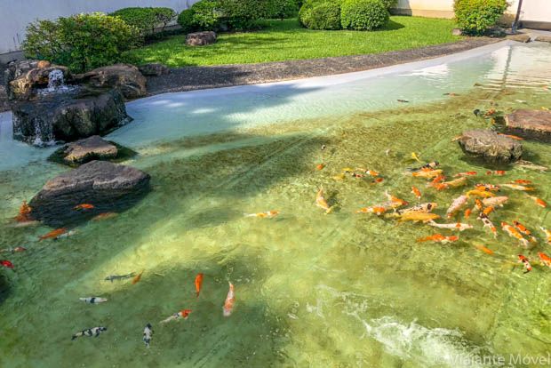 Segundo Encontro Japão.br em São Paulo Segundo Encontro Japão.br em São Paulo