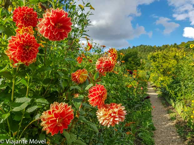 Jardins de Monet em Giverny na França