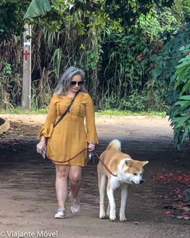 Olhos d'Água com nosso akita - viagem com pet