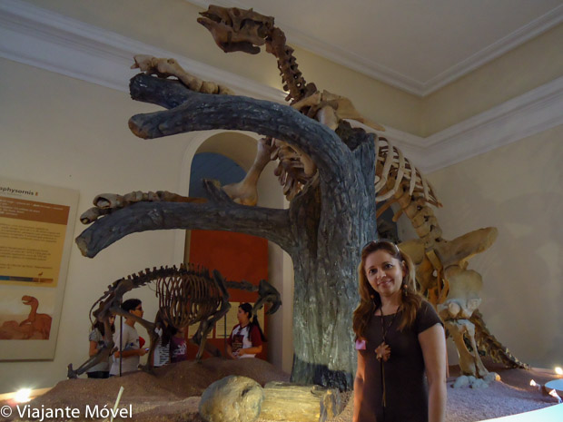 Tour pelos museus do Brasil