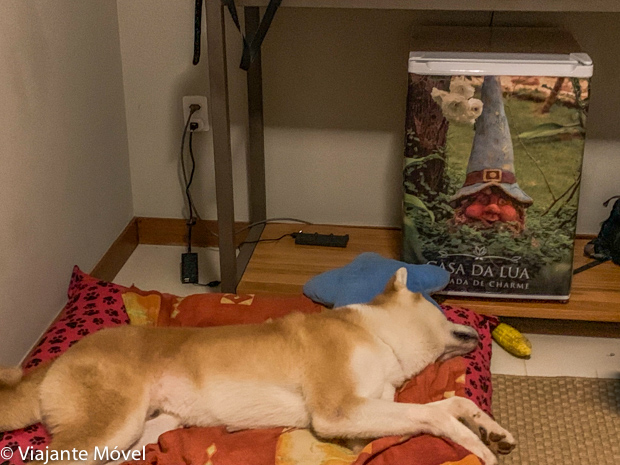 Hotéis pet friendly na Chapada dos Veadeiros