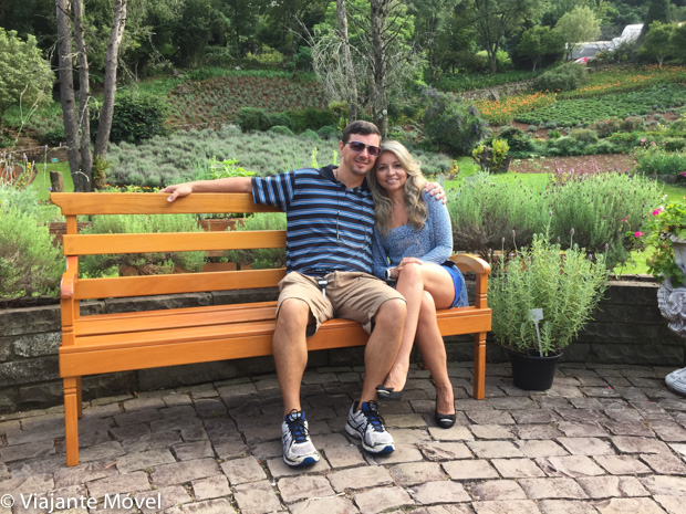 Onde encontrar Campos de Lavanda em Gramado