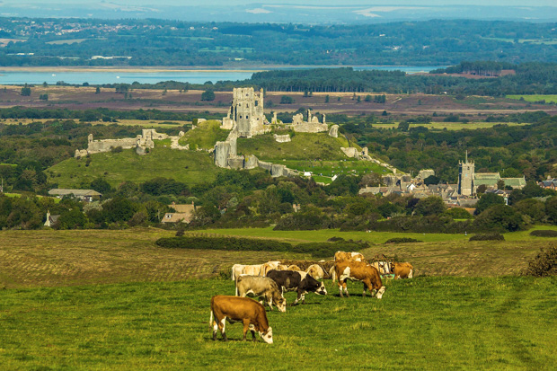 Corfe Castle- O que fazer em Durdle Door, na Costa Jurássica da Inglaterra