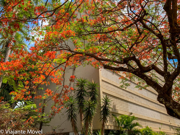 15 lugares instagramáveis em Brasília para fotos especiais