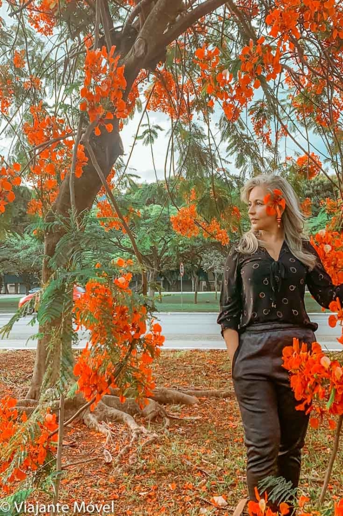 15 lugares instagramáveis em Brasília para fotos especiais