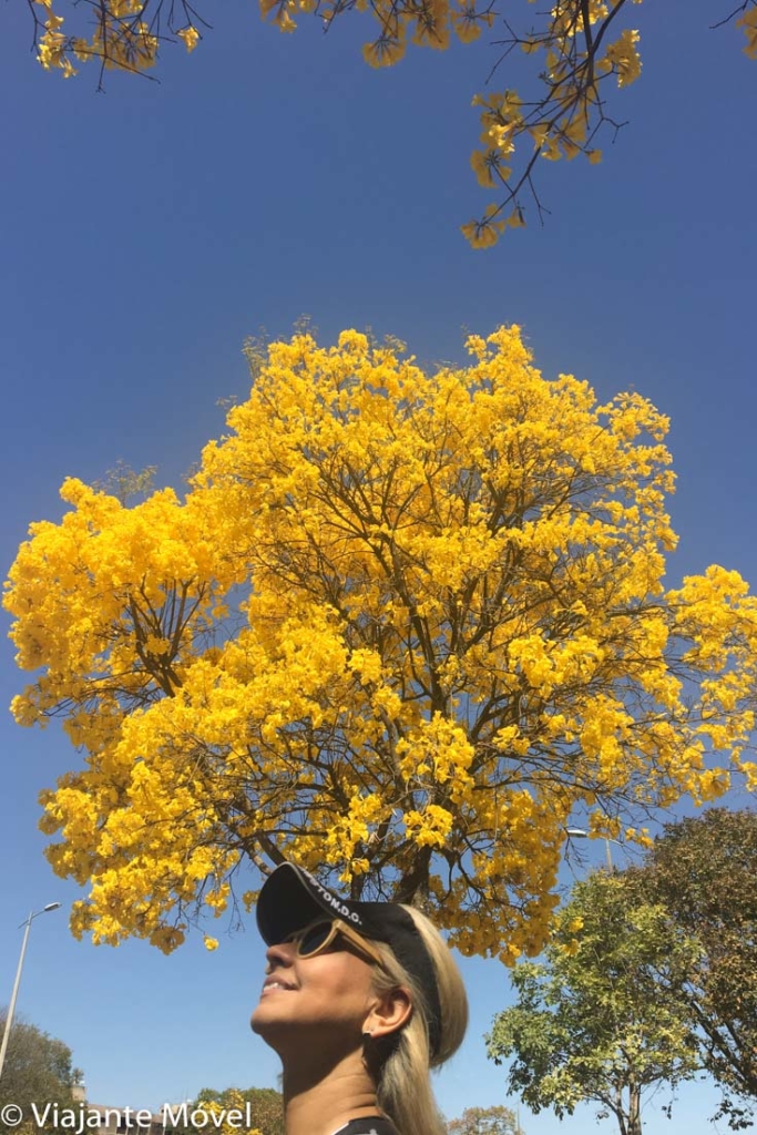 15 lugares instagramáveis em Brasília para fotos especiais