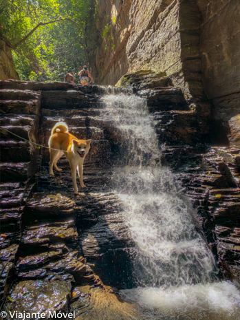 Cachoeira pet friendly em Três Marias, Minas Gerais