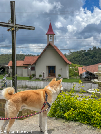O que fazer em Monte Verde com cachorro