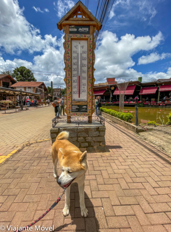 Monte Verde Pet Friendly : Dicas de passeios de um Akita