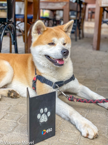 Dica de Restaurante pet friendly em Monte Verde