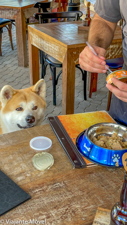 Dica de Restaurante pet friendly em Monte Verde