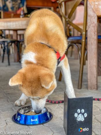 Dica de Restaurante pet friendly em Monte Verde