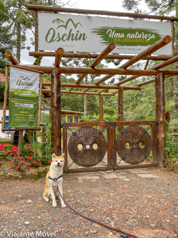 Ecoturismo pet friendly em Monte Verde