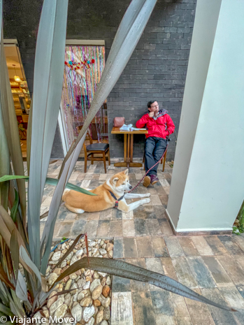 O que fazer em Monte Verde com cachorro