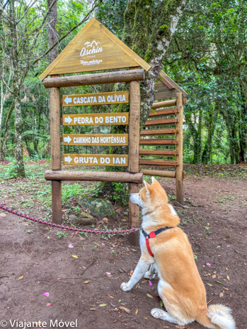 Passeios pet friendly em Monte Verde que você precisa conhecer