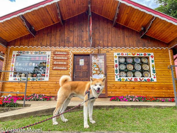 O que fazer em Monte verde com cachorro