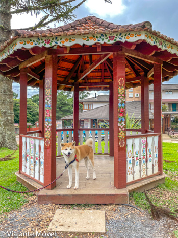 O que fazer em Monte verde com cachorro Akita