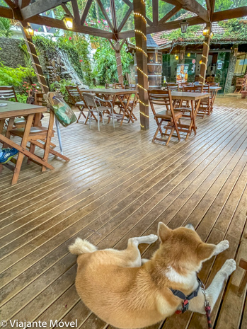 Dicas de Restaurantes Pet Friendly em Monte Verde