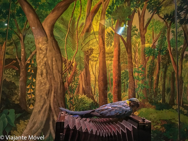 Visita ao Museu Histórico do Exército em Copacabana -RJ