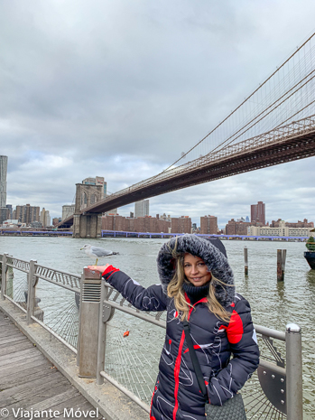 Walking Tour no Brooklyn em Nova York